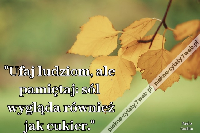 Ufaj ludziom, ale pamiętaj: sól wygląda również jak cukier.